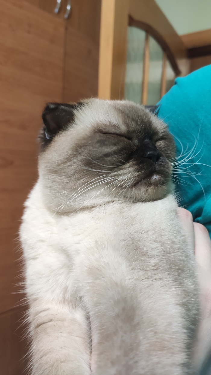 �������?!? ��, �� �������...