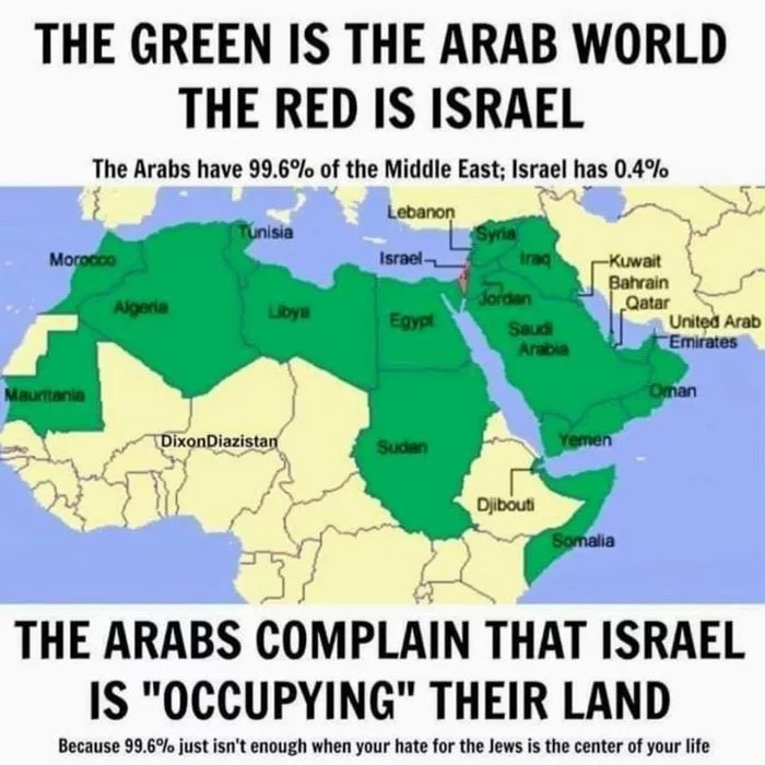 Continuation of the post Israeli soldiers support Israel's right to self-defense - Israel, Girls, Guys, The soldiers, Tik tok, Vertical video, Army, Reply to post, Politics