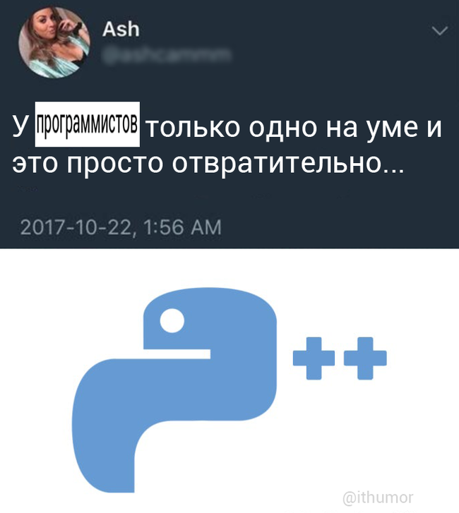 To no one else quarrel which language is better - Python, C ++, IT humor, IT, Programming