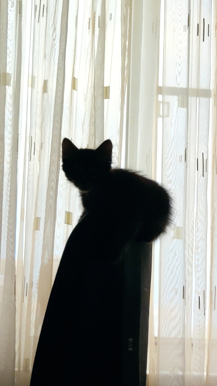 ,  , , , ,  