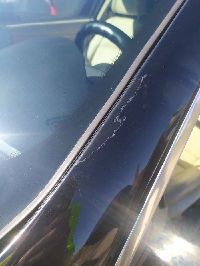 Мутная мойка СПб Приморский район | Пикабу