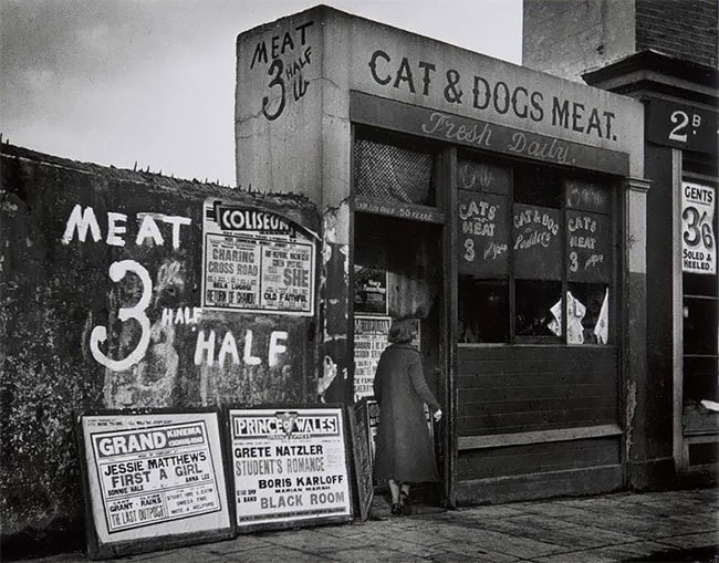 Cat Butcher | - My, Profession, London, 19th century, Story, Informative, Salesman, Butcher, Video, Longpost