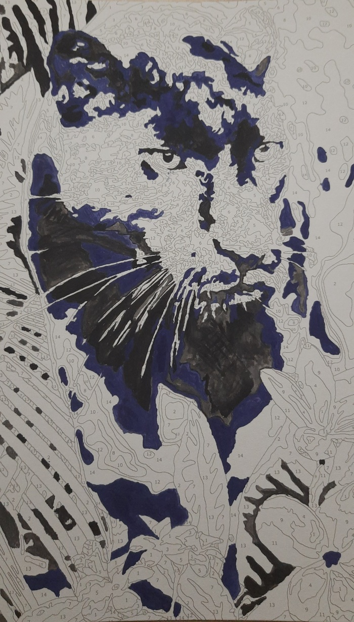 ������ ��������