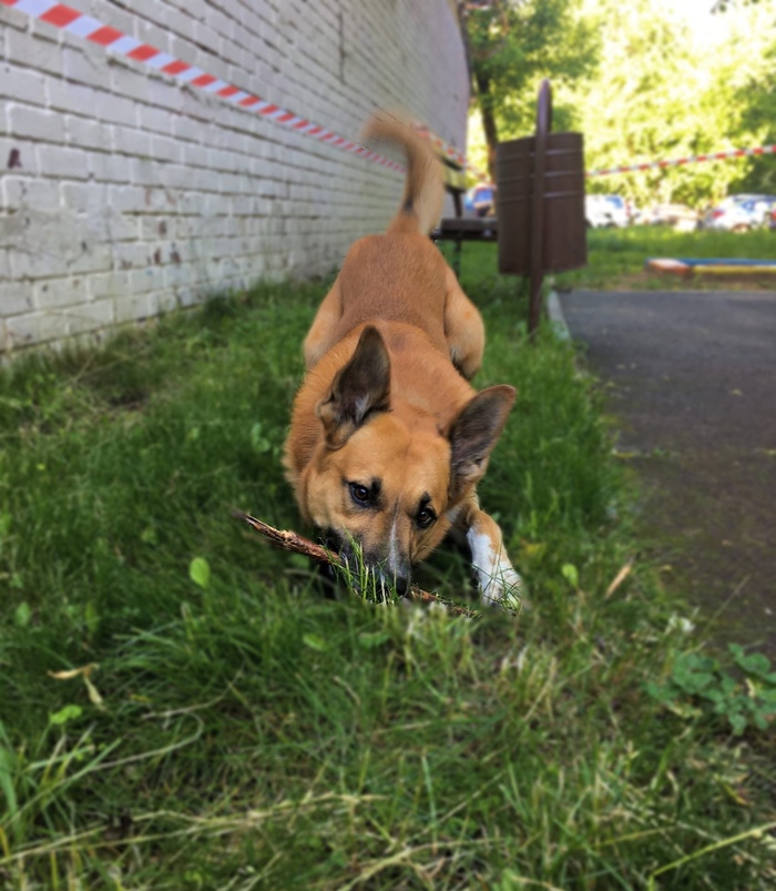 ��� �������!