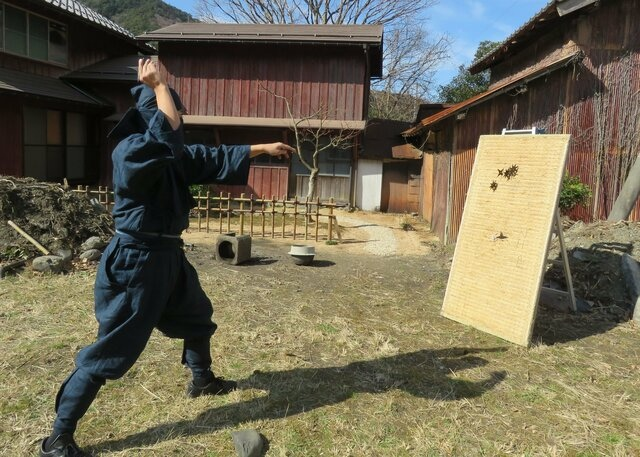 A little about throwing weapons - My, Cat_cat, Story, Weapon, Knife, Shuriken, Throwing knives, Throwing weapons, Longpost