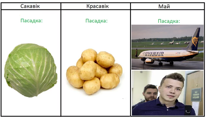 Gardener's Calendar - My, Republic of Belarus, Politics, Ryanair, Alexander Lukashenko