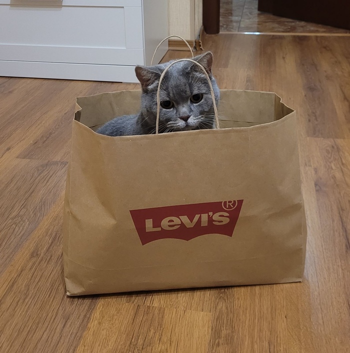 ����� �������