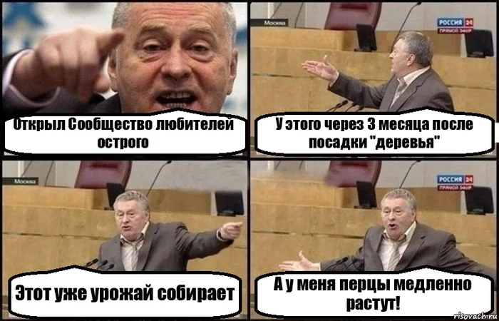 А все ли у моих деточек хорошо? - Острый перец, Выращивание, Перцеводство, Длиннопост