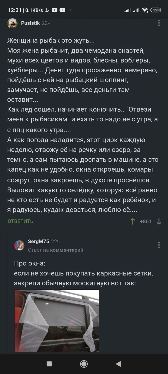 Простейший противокомариный лайфхак для автомобиля - Комментарии, Лайфхак, Комары, Москитная сетка, Авто, Длиннопост