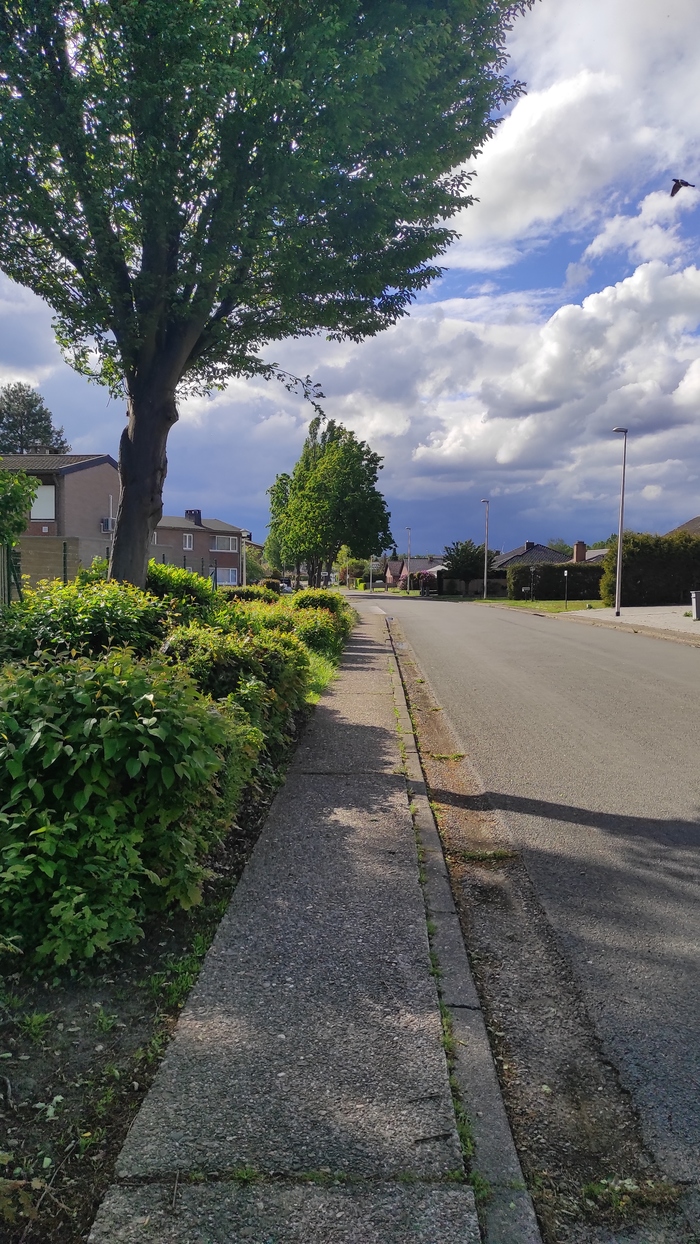 ����������� �����:) �������