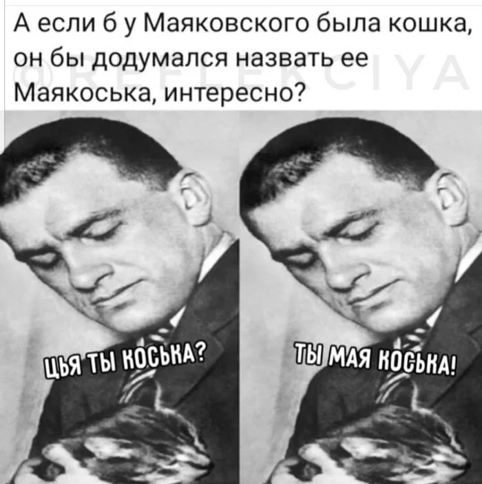 Mayakoska ... - cat, Vladimir Mayakovsky, Picture with text