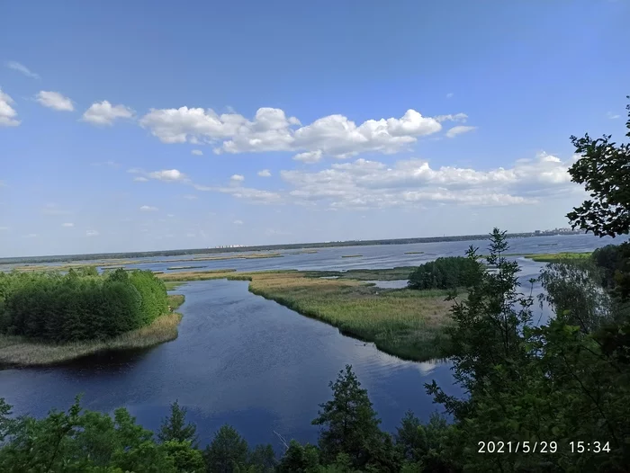 Walk - Lizard, Longpost, The photo, My, Voronezh, Reservoir, beauty of nature