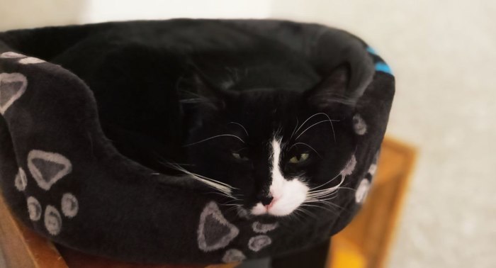 ���-����