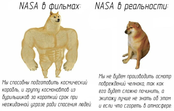   , NASA, , , Doge