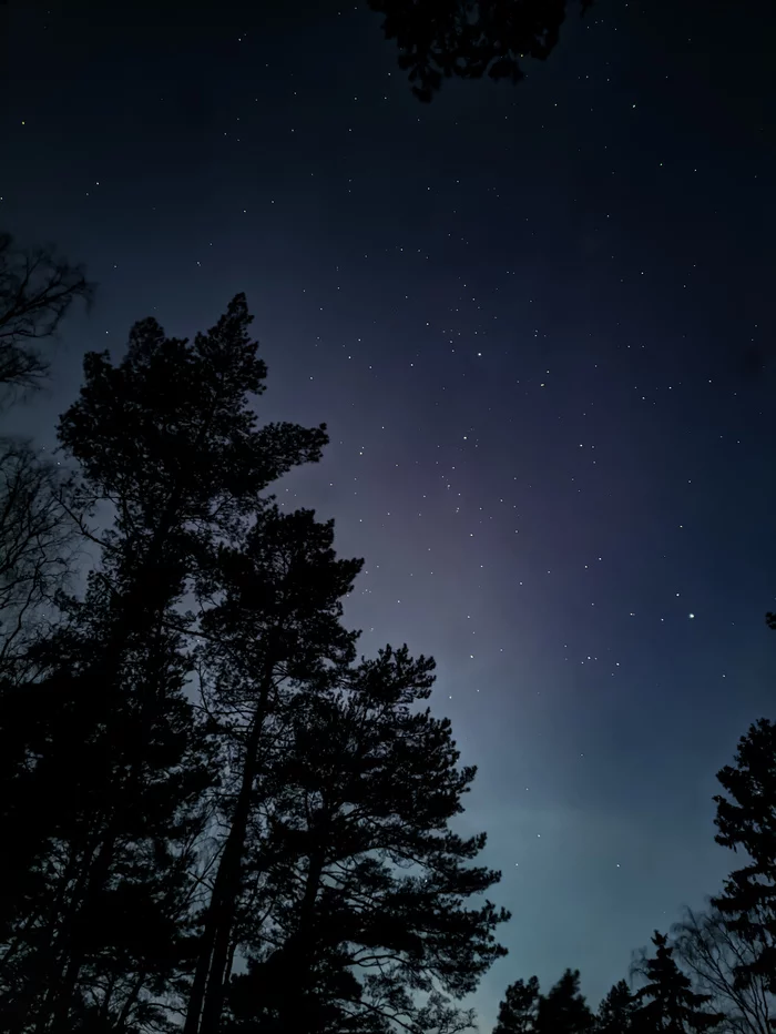 Astrophoto on your phone - My, Kaliningrad, Curonian Spit, Astrophoto, Stars, Mobile photography