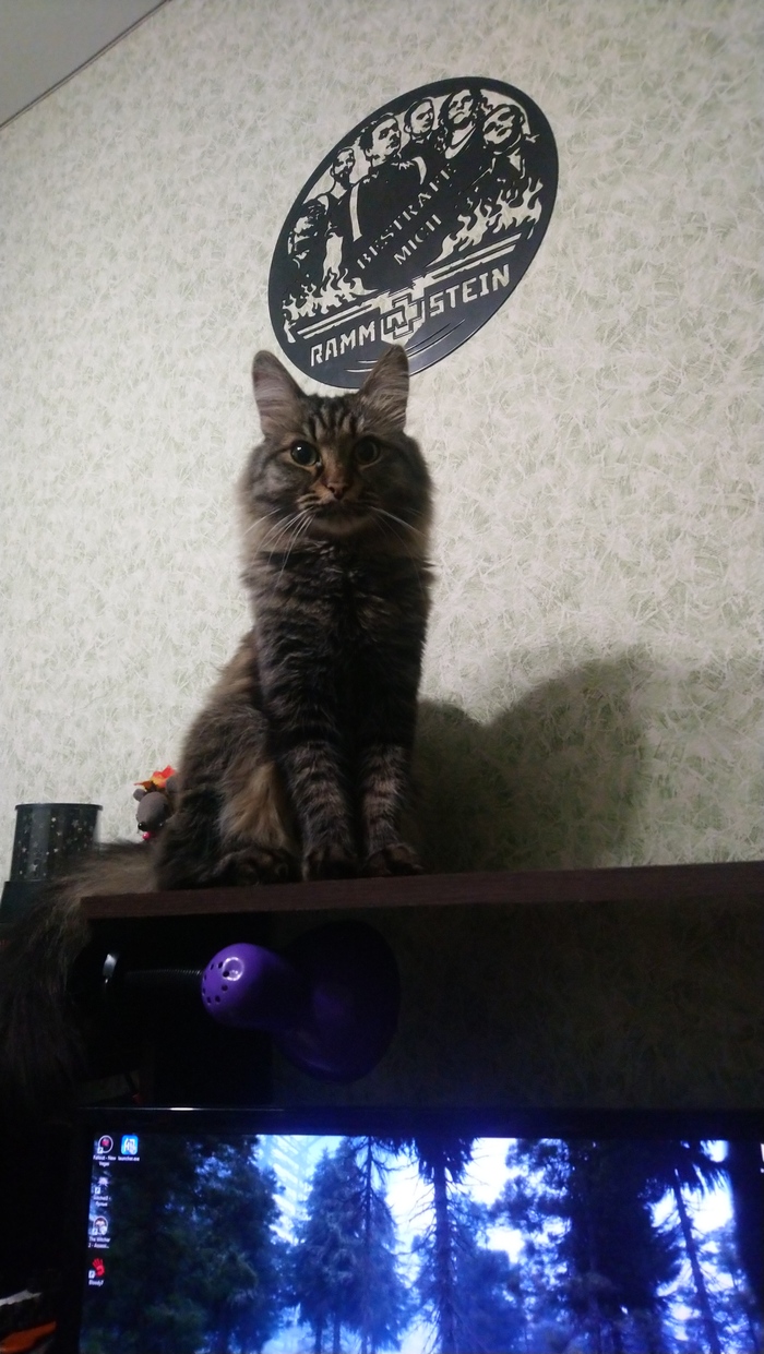 Он явно чем-то недоволен