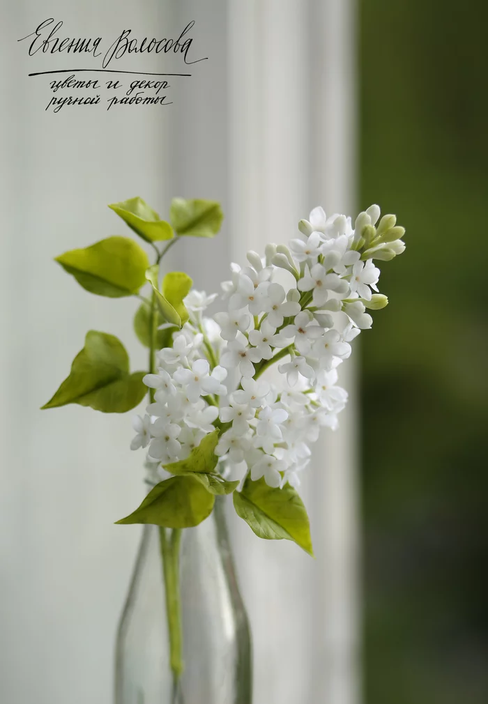 My handmade branch of white lilac - My, Needlework without process, Polymer floristry, Cold porcelain, Flowers, Handmade, With your own hands, Polymer clay, Video, Longpost