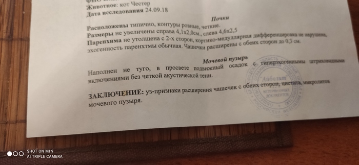        ! , ,  , ,  ,   , ,   , 