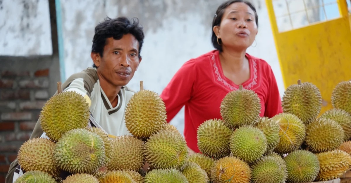 2022 musim durian Durian Salo