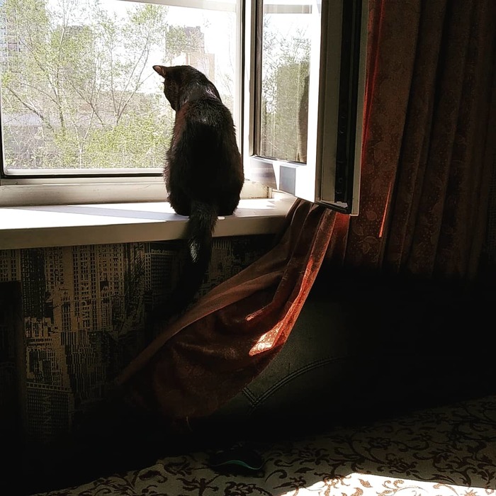      ?    ! ,  , , , , , 