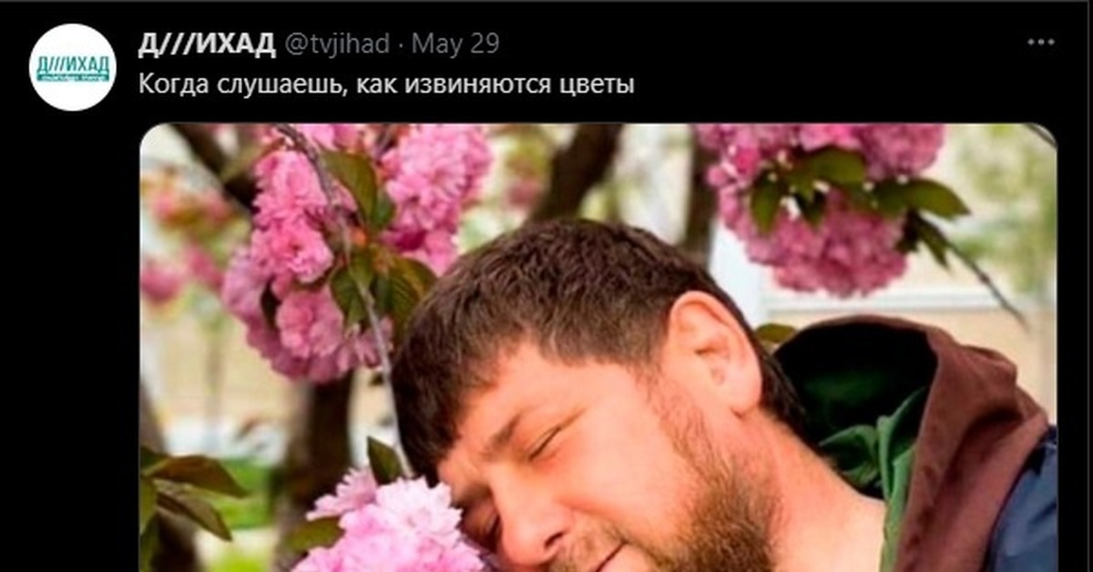 Кадыров извинения. Кадыров цветы. Кадыров и цветы извиняются. Кадыров с цветами. Рамзан в цветах.