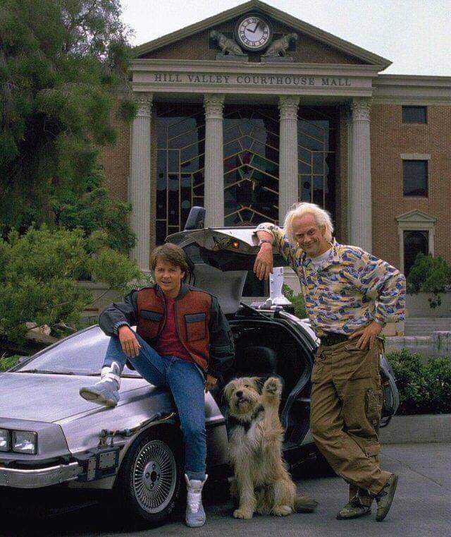 Hey - Back to the future movie, Old photo, Dog, Michael J. Fox, Christopher Lloyd, Actors and actresses, Back to the future (film)