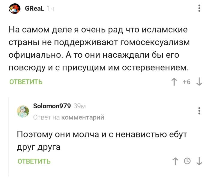 О религии - Комментарии, Ислам, Гомосексуальность, Иерусалим, Комментарии на Пикабу, Скриншот, ЛГБТ, Мат