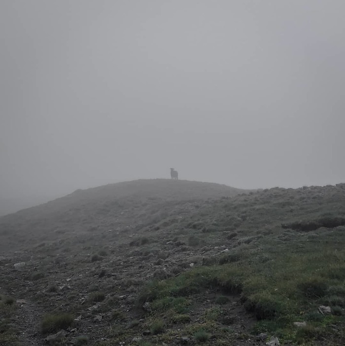 Что произошло со мной в небольшом походе по Кавказу Кавказцы, Туризм, Поход, Путешествия, Приэльбрусье, Доброта, Кавказ, Видео, Длиннопост