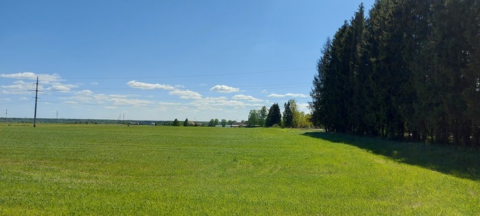 Ленинградская область 30.05.21