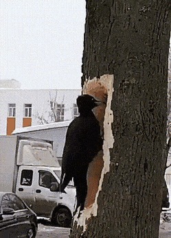    , , , 