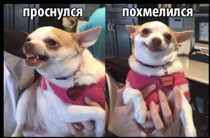Dutro Picabuchane - My, Memes, Photo on sneaker, Good morning, Morning is never good, Program Morning of Russia