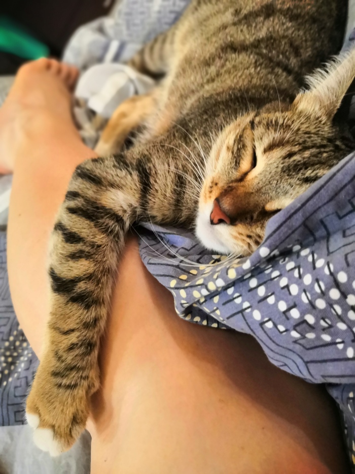 � ������