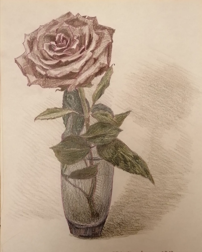 ���� � �������