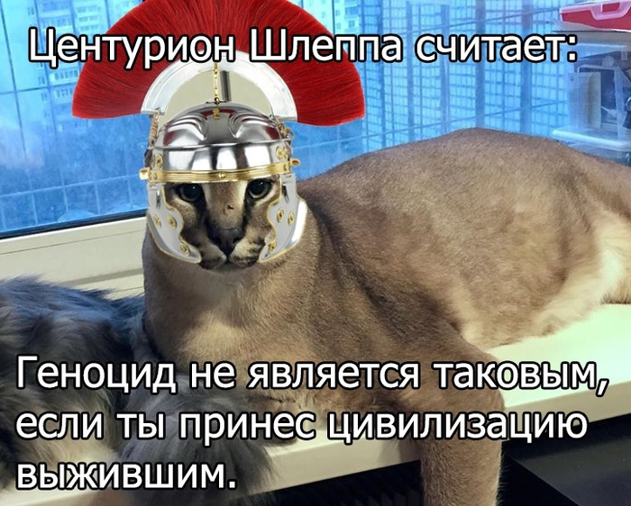 https://cs12.pikabu.ru/post_img/2021/06/01/8/1622549338193914777.png