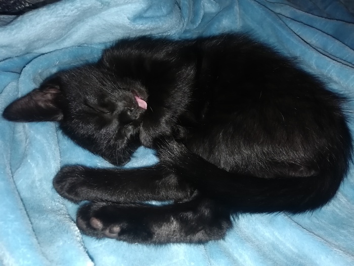 Π½Π° ΠΊΠ°ΠΊΠΎΠΌ ΡΠ·ΡΠΊΠ΅ ΡΠ°Π·Π³ΠΎΠ²Π°ΡΠΈΠ²Π°ΡΡ Π΄Π΅ΡΠΈ ΠΌΠ°Π»Π΅Π½ΡΠΊΠΈΠ΅. Π‘ΠΌΠΎΡΡΠ΅ΡΡ ΡΠΎΡΠΎ Π½Π° ΠΊΠ°ΠΊΠΎΠΌ ΡΠ·ΡΠΊΠ΅ ΡΠ°Π·Π³ΠΎΠ²Π°ΡΠΈΠ²Π°ΡΡ Π΄Π΅ΡΠΈ ΠΌΠ°Π»Π΅Π½ΡΠΊΠΈΠ΅. Π‘ΠΌΠΎΡΡΠ΅ΡΡ ΠΊΠ°ΡΡΠΈΠ½ΠΊΡ Π½Π° ΠΊΠ°ΠΊΠΎΠΌ ΡΠ·ΡΠΊΠ΅ ΡΠ°Π·Π³ΠΎΠ²Π°ΡΠΈΠ²Π°ΡΡ Π΄Π΅ΡΠΈ ΠΌΠ°Π»Π΅Π½ΡΠΊΠΈΠ΅. ΠΠ°ΡΡΠΈΠ½ΠΊΠ° ΠΏΡΠΎ Π½Π° ΠΊΠ°ΠΊΠΎΠΌ ΡΠ·ΡΠΊΠ΅ ΡΠ°Π·Π³ΠΎΠ²Π°ΡΠΈΠ²Π°ΡΡ Π΄Π΅ΡΠΈ ΠΌΠ°Π»Π΅Π½ΡΠΊΠΈΠ΅. Π€ΠΎΡΠΎ Π½Π° ΠΊΠ°ΠΊΠΎΠΌ ΡΠ·ΡΠΊΠ΅ ΡΠ°Π·Π³ΠΎΠ²Π°ΡΠΈΠ²Π°ΡΡ Π΄Π΅ΡΠΈ ΠΌΠ°Π»Π΅Π½ΡΠΊΠΈΠ΅ Π½Π° ΠΊΠ°ΠΊΠΎΠΌ ΡΠ·ΡΠΊΠ΅ ΡΠ°Π·Π³ΠΎΠ²Π°ΡΠΈΠ²Π°ΡΡ Π΄Π΅ΡΠΈ ΠΌΠ°Π»Π΅Π½ΡΠΊΠΈΠ΅. Π‘ΠΌΠΎΡΡΠ΅ΡΡ ΡΠΎΡΠΎ Π½Π° ΠΊΠ°ΠΊΠΎΠΌ ΡΠ·ΡΠΊΠ΅ ΡΠ°Π·Π³ΠΎΠ²Π°ΡΠΈΠ²Π°ΡΡ Π΄Π΅ΡΠΈ ΠΌΠ°Π»Π΅Π½ΡΠΊΠΈΠ΅. Π‘ΠΌΠΎΡΡΠ΅ΡΡ ΠΊΠ°ΡΡΠΈΠ½ΠΊΡ Π½Π° ΠΊΠ°ΠΊΠΎΠΌ ΡΠ·ΡΠΊΠ΅ ΡΠ°Π·Π³ΠΎΠ²Π°ΡΠΈΠ²Π°ΡΡ Π΄Π΅ΡΠΈ ΠΌΠ°Π»Π΅Π½ΡΠΊΠΈΠ΅. ΠΠ°ΡΡΠΈΠ½ΠΊΠ° ΠΏΡΠΎ Π½Π° ΠΊΠ°ΠΊΠΎΠΌ ΡΠ·ΡΠΊΠ΅ ΡΠ°Π·Π³ΠΎΠ²Π°ΡΠΈΠ²Π°ΡΡ Π΄Π΅ΡΠΈ ΠΌΠ°Π»Π΅Π½ΡΠΊΠΈΠ΅. Π€ΠΎΡΠΎ Π½Π° ΠΊΠ°ΠΊΠΎΠΌ ΡΠ·ΡΠΊΠ΅ ΡΠ°Π·Π³ΠΎΠ²Π°ΡΠΈΠ²Π°ΡΡ Π΄Π΅ΡΠΈ ΠΌΠ°Π»Π΅Π½ΡΠΊΠΈΠ΅