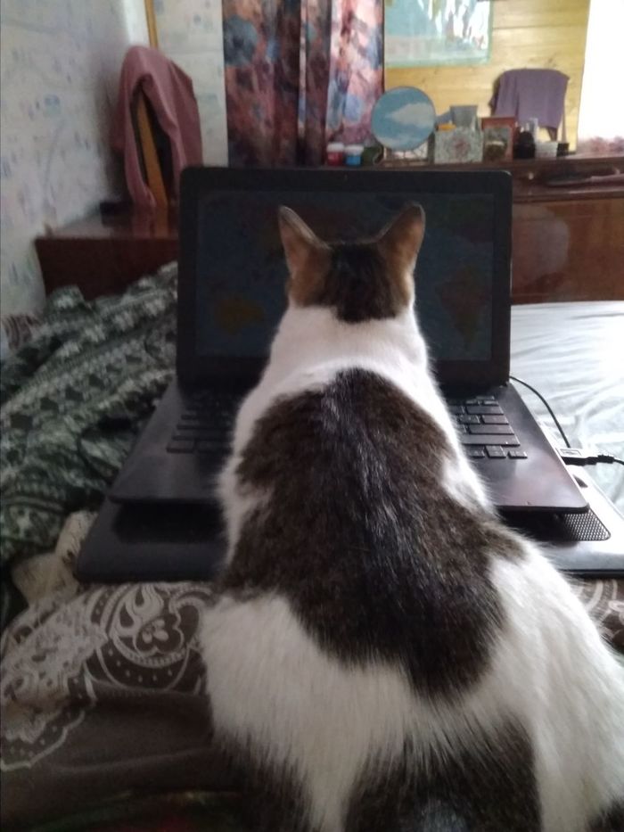 ��� �����. ��� �� ���?