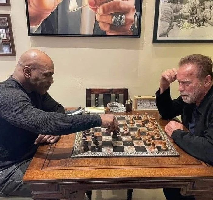 The strongest chess players in the world - Arnold Schwarzenegger, Images, Mike Tyson, Chess, Humor