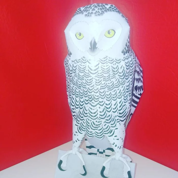 Owl. - My, Hobby, Owl, Pepakura, Papercraft, A4, Needlework without process, Paper products