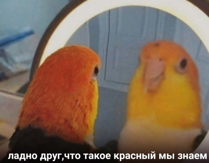 ����� ������ �� ������������ � �������