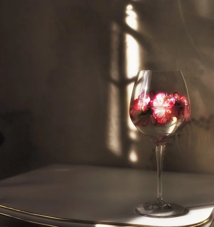 Wineglass - My, The photo, Still life