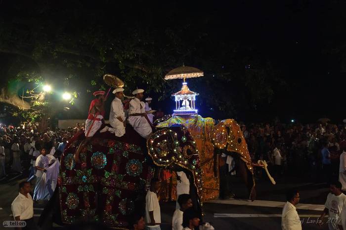 Navam perahera - My, Sri Lanka, Holidays, Buddhism, Elephants, The festival, Traditions, Travels, Longpost