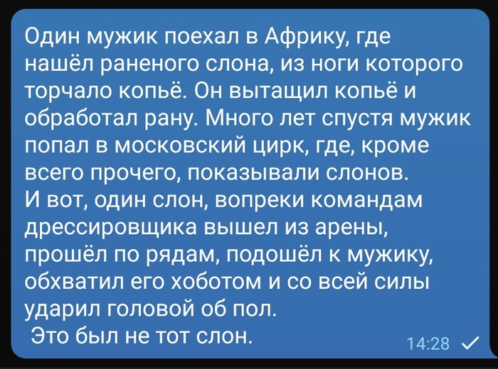 �� ��� ����