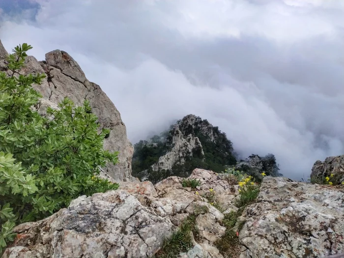 Ай Петри в облаках