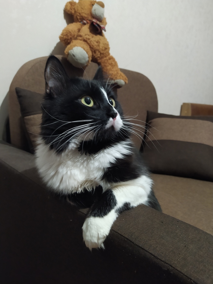 ��������