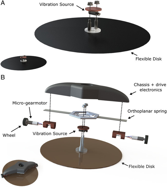 Подпотолочный лампонюх, начало