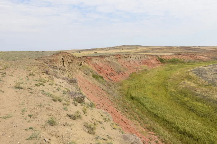 A little more nature of the native land - My, Nature, Orenburg region, Longpost, Natural monument