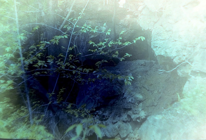 Фотография на плёнку новичка Фотопленка, Начинающий фотограф, Длиннопост