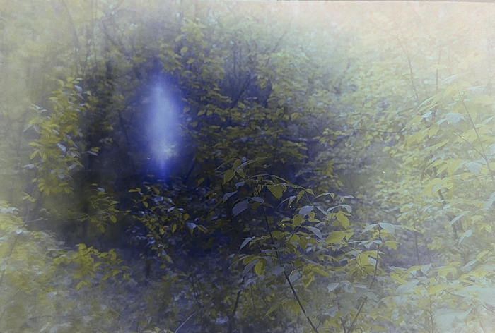 Фотография на плёнку новичка Фотопленка, Начинающий фотограф, Длиннопост