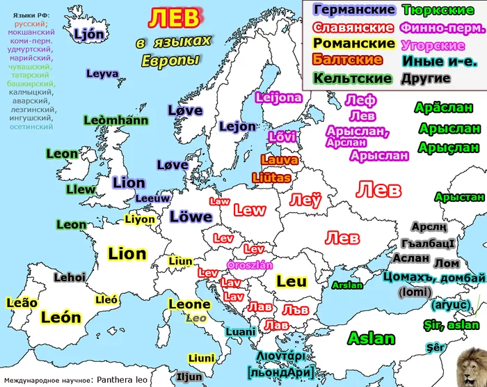 Lion in the languages ??of Europe and the European part of Russia - a lion, Cards, Foreign languages, Vocabulary, The words, Linguistics, Vocabulary