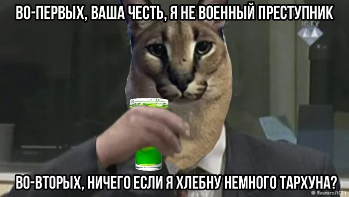 Large Russian cat Shlepa - , Dank memes, Memes, Tarhun, Big Slap